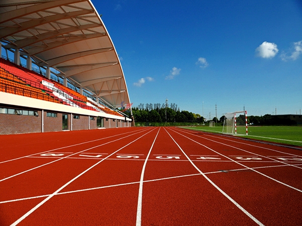 宜章膜結構看臺/舞臺/主席臺【生產安裝】